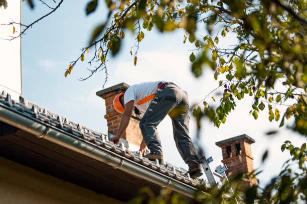 Best Roof Leak Repair  in Burnt Mills, MD