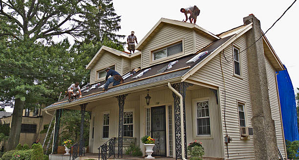 Best Shingle Roofing Installation  in Burnt Mills, MD